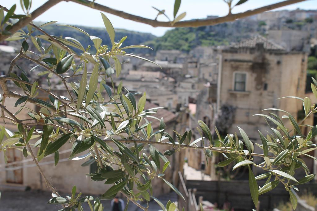 Antico Convicino Rooms Suites & Spa Matera Ngoại thất bức ảnh